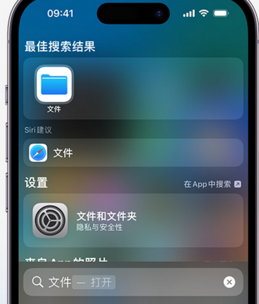 保亭apple维修中心分享iPhone文件应用中存储和找到下载文件