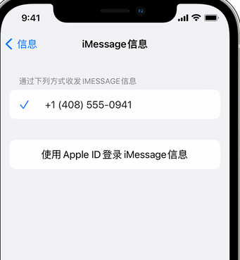 保亭apple维修iPhone上无法正常发送iMessage信息 