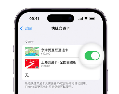 保亭apple维修点分享iPhone上更换Apple Pay快捷交通卡手绘卡面 