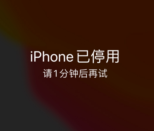 保亭苹果手机维修分享:iPhone 显示“不可用”或“已停用”怎么办？还能保留数据吗？ 