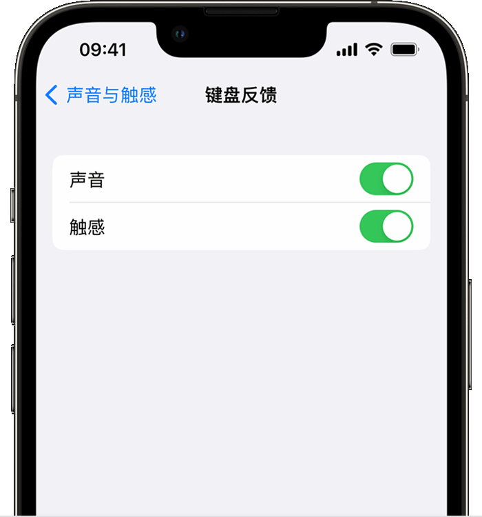 保亭苹果14维修店分享如何在 iPhone 14 机型中使用触感键盘 