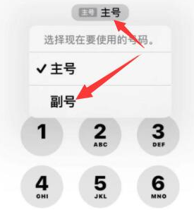 保亭苹果14维修店分享iPhone 14 Pro Max使用副卡打电话的方法 