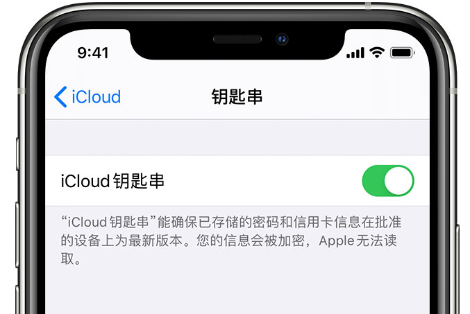 保亭苹果手机维修分享在 iPhone 上开启 iCloud 钥匙串之后会储存哪些信息 