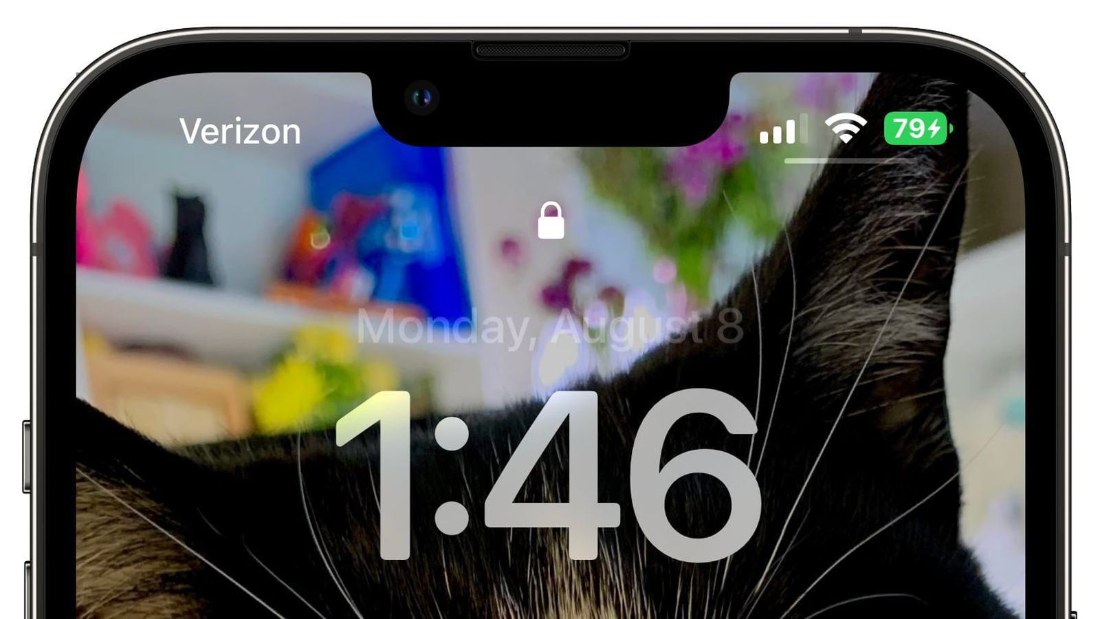 保亭苹果手机维修分享iOS 16 beta 5 支持状态栏显示电池百分比，如何开启？支持哪些机型 