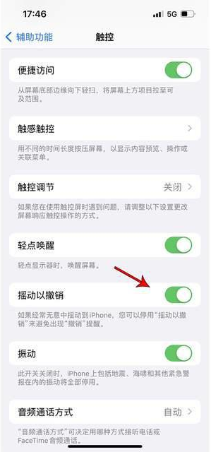 保亭苹果手机维修分享iPhone手机如何设置摇一摇删除文字 