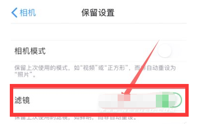 保亭苹果13维修分享iPhone13拍照有绿点是怎么回事 