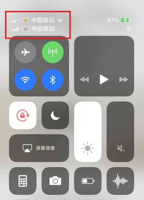 保亭苹果手机维修分享为 iPhone 12 双卡设置标签 