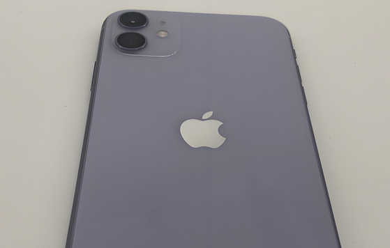 保亭苹果11系统维修分享iPhone11手机系统崩溃无法开机如何解决 